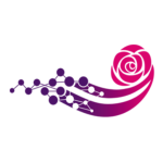 cropped-network-favaicon